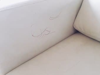 FREE White sofa 2