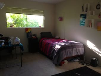 1 BR Available in Mountain View Apartment on March 1st (utilities inc) 1