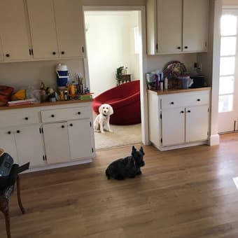 Sharing a house 1