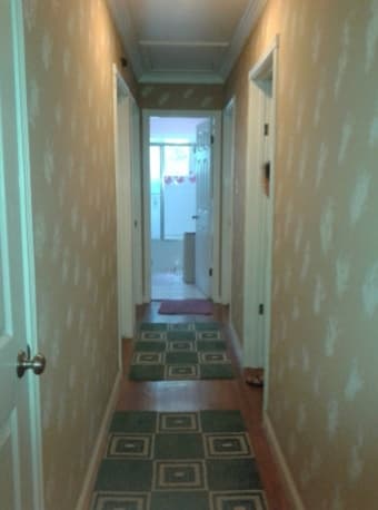Cozy home with incredible roommates. Come meet us! 3