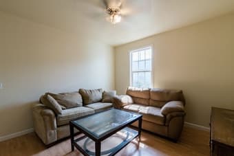 Diverse group of friends looking for an extra roomie! 1,390 3