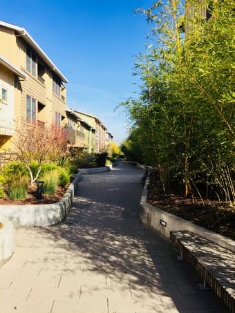 Town house in Palo Alto available for rent 2