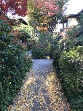 A sizable master room 14x15 for rent in Menlo Park 3