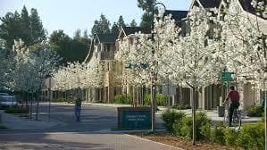 Stanford West 2 Bedroom Unit Summer Sublet (6/4 - 7/10) 2