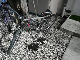 九成新自行车 1