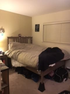 1 BDR in 3 BDR apt available for rent 1