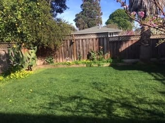 East Palo Alto studio, large kitchen, includes internet & utilities 2