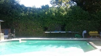 Private Room For Rent In Home With Pool, Hot Tub, And Pool Table! 1