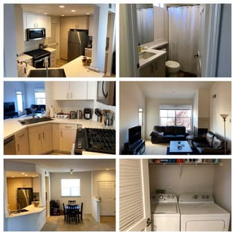 Spacious Private Room w/ Balcony Access by New Apple Campus(June/July) 2