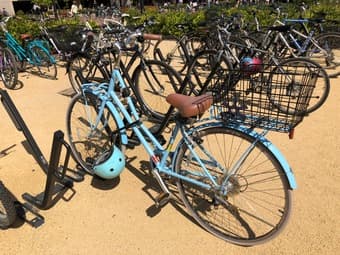 Beautiful bicycle for sale! Starting price $250, but willing to talk! 1