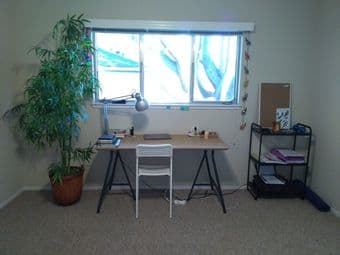 Huge sunny room in spacious apt, 10min bike from campus, avail Apr 10 1