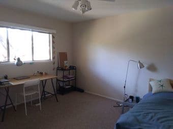 Avail immediately: Huge room in sunny 2bd apt, blocks from campus 2