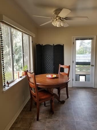 Avail immediately: Huge room in sunny 2bd apt, blocks from campus 3