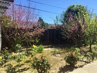 $1300-925 JOIN OUR ENTREPRENEUR TECH ART HOUSE (san jose west) 1