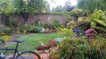 1st May- room in a house with pool 1