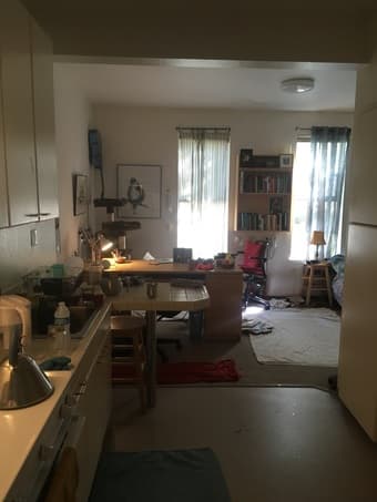 Summer Sublet: Single Studio in EV 1