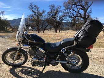 Yamaha Virago XV353 motorcycle 2