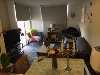 Entire 1 Bedroom 1 Bathroom apartment available in EV for summer 2