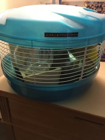 Hamster Toys and Supplies (everything a hamster would ever need) 1
