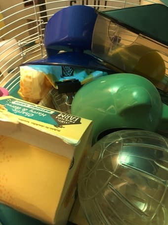Hamster Toys and Supplies (everything a hamster would ever need) 2