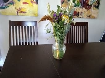 1BR fall sublet in shared house in Palo Alto 3