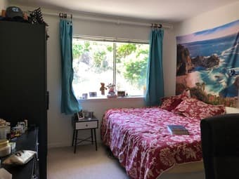 Home with 3 Rooms Available for the Summer 4