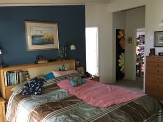 Huge master suite in friendly, creative co-op - 3.5mo sublet 1