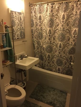 1 bed/1 bath fully furnished in EV for the Summer 3