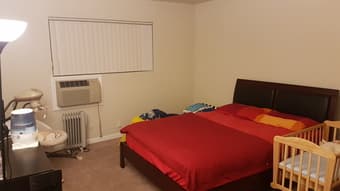 Large, 1 Bed room apartment in Mountain View from mid-June to late-Aug 1