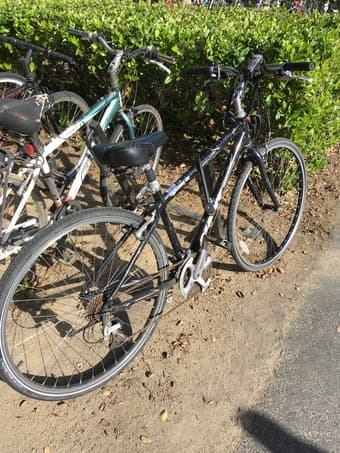 Giant Men's Bike 1