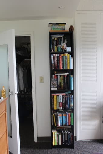 Ikea Billy Bookcase 1