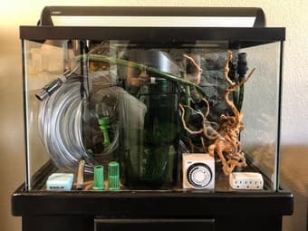 Full 20 gallon Aquarium Setup 1