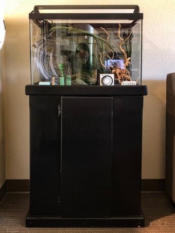 Full 20 gallon Aquarium Setup 2