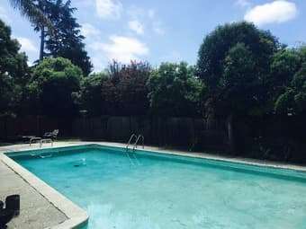 Master bedroom suites in large home.  Huge pool. Great roommates! 1