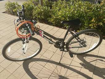 Roadmaster Bike to be sold 1