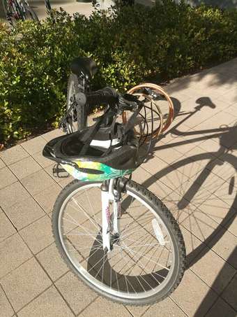 Roadmaster Bike to be sold 2