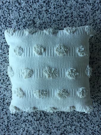 Throw Pillow 1
