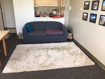 rug - great condition 1