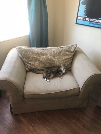 oversized chair for sale 2
