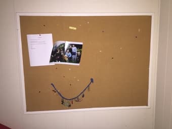 Cork board 1
