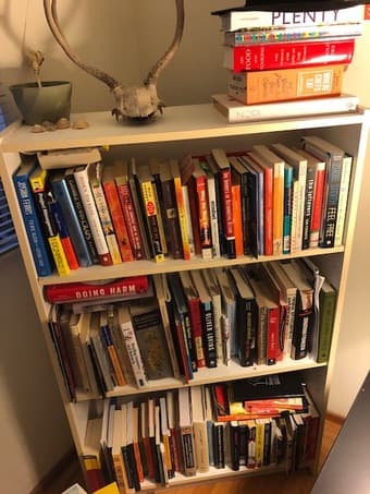 Sturdy white bookshelf 1