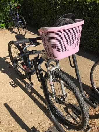 Trek bicycle in great condition (ideal for female, height 5-2-5'6) 1