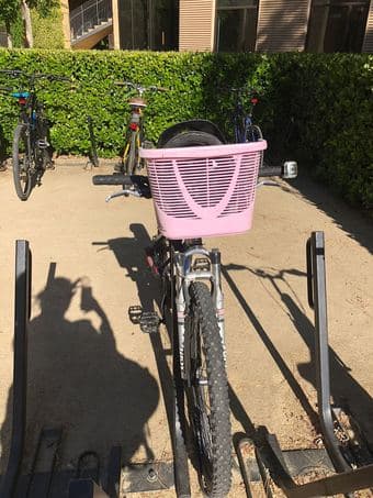 Trek bicycle in great condition (ideal for female, height 5-2-5'6) 2