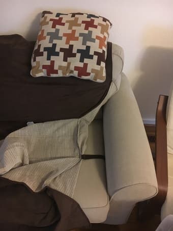 Pull Put Couch and Ottoman 3