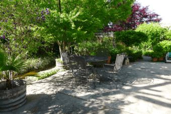 Mountain View Furnished One Bedroom To Rent 3