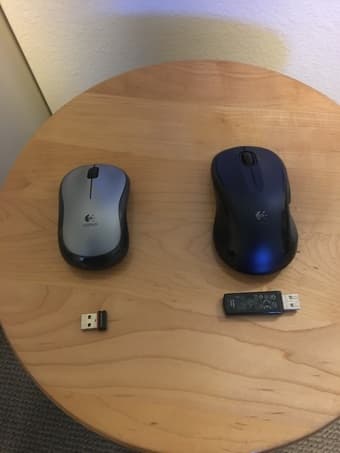 Computer mice 1