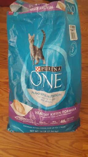 Kitten Food 1