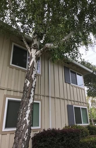MENLO PARK FURNISHED ROOM FOR RENT-FEMALE ONLY-NEAR STANFORD 1