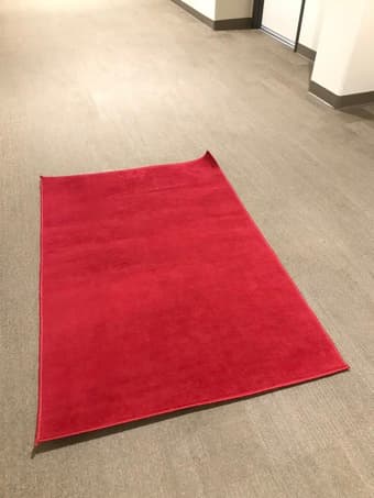 Red Carpet (1.5m x 1m) 1