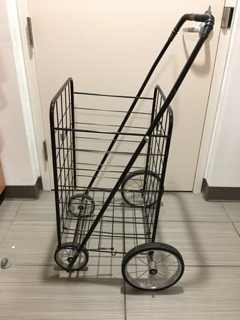 Foldable Dolly 1